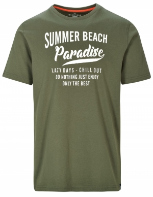 Summer Beach Paradise logo