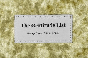 The Gratitude List Book Mint Green