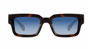  bruin
