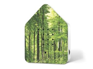 Zwitscherbox Forest Forest