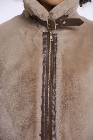 Lambra 10866 oat