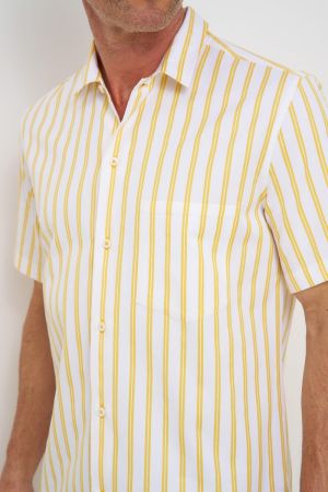  55 Yellow